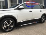 Bệ bước chân xe Peugeot 3008
