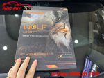 Độ Bi led Wolf Light cho Toyota Venza