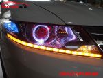 Độ Led Mí - Bi Led Leo Aozoom Cho City