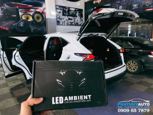 Độ Led nội thất Lexus NX200T