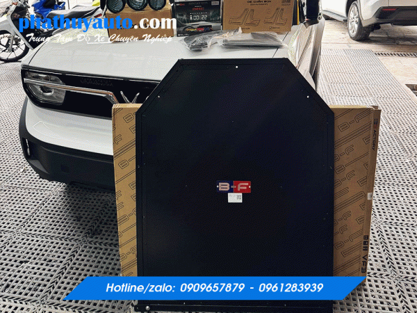 Tấm bảo vệ pin VF3