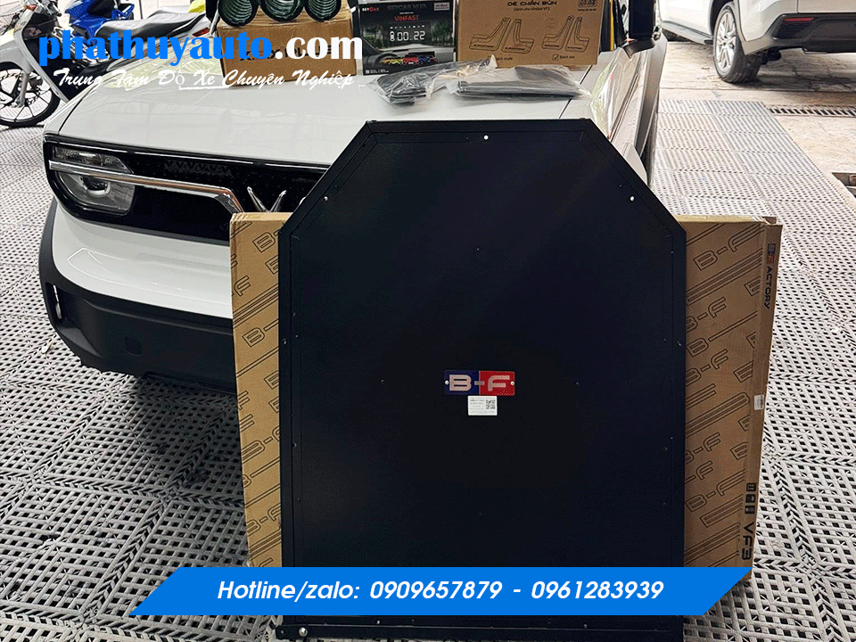 Tấm bảo vệ pin VF3